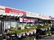【ホームセンター】ダイシン古川店まで1100ｍ