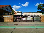 【小学校】一宮市立　小信中島小学校まで190ｍ