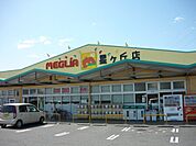 【スーパー】メグリアまで500ｍ