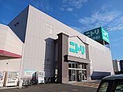 ニトリ　秋田店まで1038ｍ