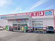 【ドラッグストア】ひまわり福山坪生店まで570ｍ