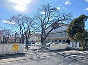 【小学校】水戸市立堀原小学校まで800ｍ