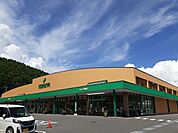 【スーパー】ツルヤ　茅野店まで570ｍ
