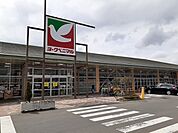 【スーパー】ヨークベニマル吉倉店まで1400ｍ