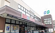【スーパー】コープ様まで800ｍ