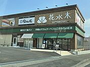 【その他】花水木 土浦店まで550ｍ