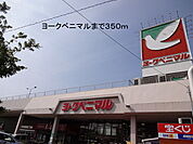 【スーパー】ヨークベニマルまで350ｍ