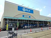 【スーパー】綿半フレッシュマーケットまで450ｍ