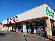 【スーパー】セイミヤ佐原玉造店まで2300ｍ