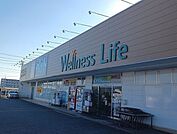 【ドラッグストア】ウェルネスライフ佐久北中込店まで1400ｍ