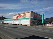 【ホームセンター】綿半ホームエイド檀田店まで2200ｍ