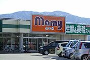 【スーパー】マミー 二枚橋店まで1100ｍ