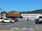 【スーパー】コープ桜田まで800ｍ