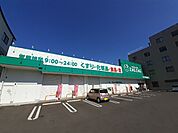 【ドラッグストア】ザグザグ坂出駒止店まで800ｍ