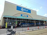 【スーパー】綿半　フレッシュマーケットまで350ｍ