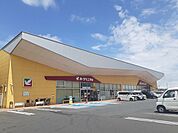 【スーパー】ヨークベニマル百合が丘店まで1100ｍ