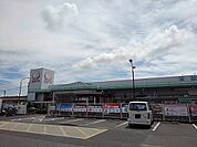 【ホームセンター】コメリ瀬戸田店まで1000ｍ