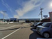 【ホームセンター】ＤＣＭのいち店まで1900ｍ