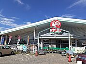 【ホームセンター】コメリハード＆グリーン安茂里店まで1000ｍ