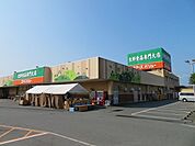 【スーパー】ユアーズバリュー右田店まで800ｍ
