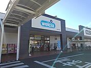 【ドラッグストア】ウエルシア　富士青島店まで700ｍ