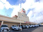【スーパー】ヨークベニマル平野店まで1200ｍ