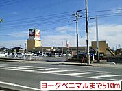 【スーパー】ヨークベニマルまで510ｍ