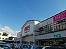 周辺：【スーパー】ナイス土崎店まで600ｍ