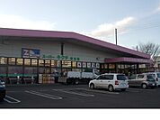 【スーパー】スーパーキクタ荒井店まで3100ｍ