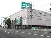 【ホームセンター】ニトリ静岡インター通り店まで190ｍ