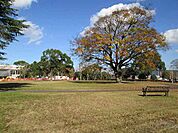 【公園】早水公園まで800ｍ
