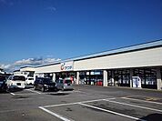 【ドラッグストア】カワチ薬品大田原南店まで580ｍ