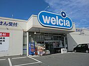 【ドラッグストア】ウエルシア渋川行幸田店まで750ｍ