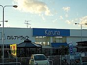 【ドラッグストア】カルナドラッグ小坂井店様まで890ｍ