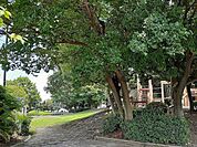 【公園】雨池公園まで365ｍ