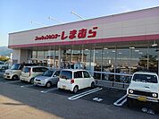 しまむら土居店まで823ｍ