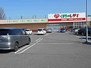 【ドラッグストア】レディ薬局新居浜店様まで700ｍ