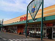 【スーパー】コープえひめ山根店様まで1100ｍ