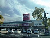 【スーパー】マックスバリュ西条神拝店様まで370ｍ