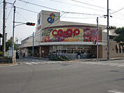 【スーパー】コープえひめ金子店様まで230ｍ