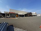 【ホームセンター】マルニ朝倉店まで2300ｍ