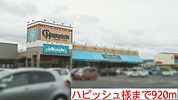 【スーパー】ハピッシュ様まで920ｍ