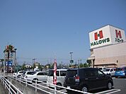 【スーパー】ハローズ田ノ上店まで900ｍ