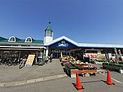 【ホームセンター】ダイキ総社西店まで1200ｍ