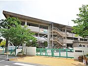 【小学校】中島小学校まで700ｍ