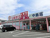【ドラッグストア】ひまわり中島店まで1200ｍ