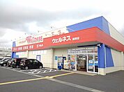 【ドラッグストア】ウェルネス国府店まで650ｍ