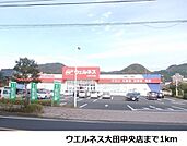 【ドラッグストア】ウエルネス大田中央店まで1000ｍ