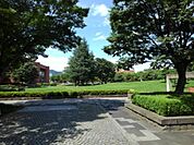 【公園】若里公園まで1100ｍ