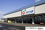 【ドラッグストア】カワチまで800ｍ